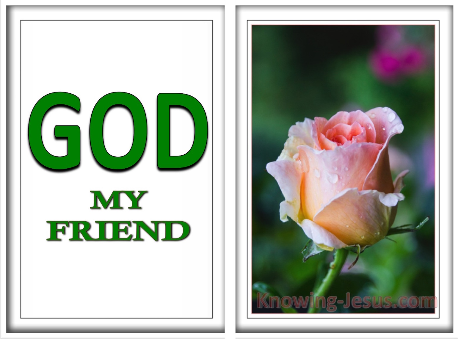 My Best Friend Is A God Manga God, My Friend (God - All I Need-6)